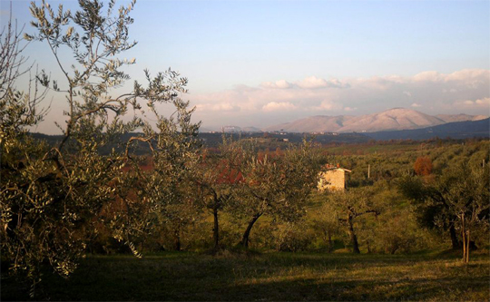 palombara